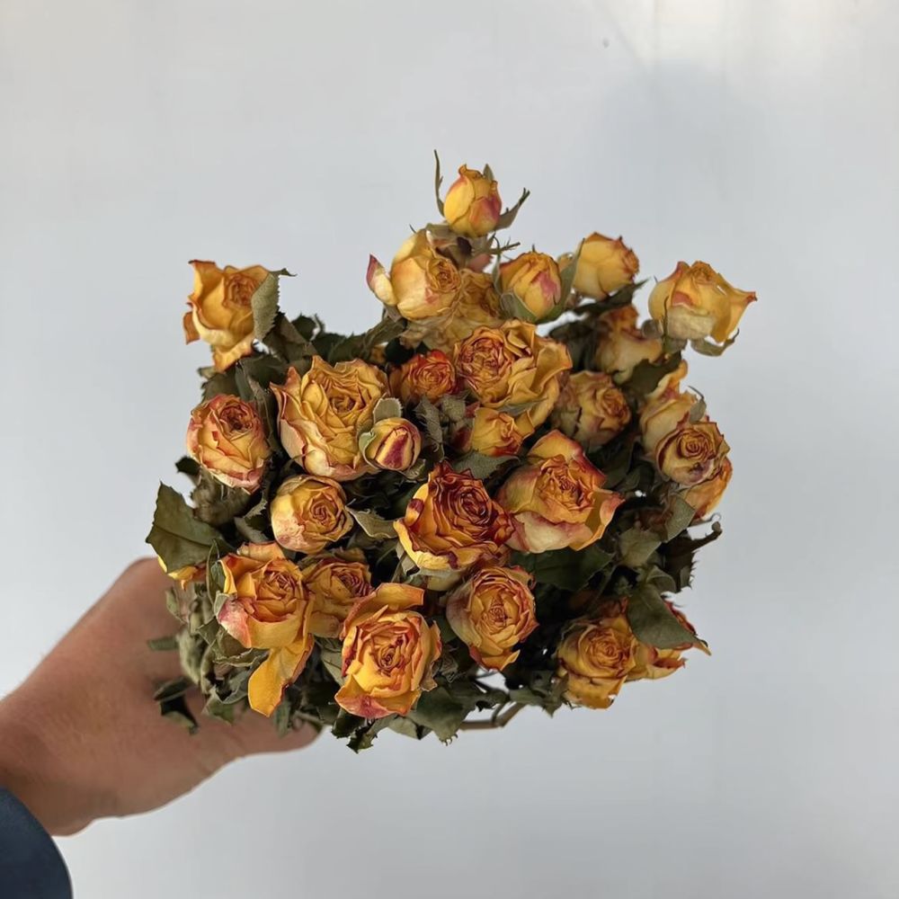 Mazzo di rose naturali stabili - Resin Art Rose recensione e prezzo