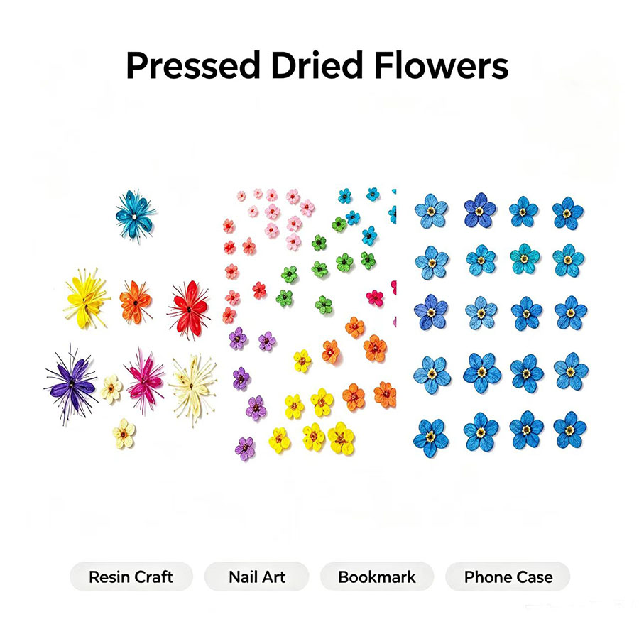 60 pezzi di fiori secchi press - Resin Art Baby recensione e prezzo