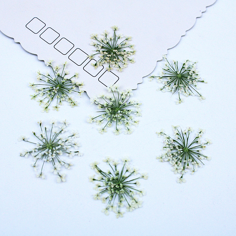 500 Pezzi Fiori di Pizzo, Fior - Resin Art Baby recensione e prezzo